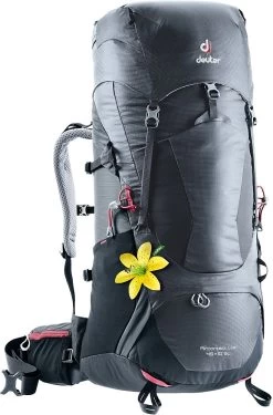 Deuter ACT Lite 45+10 SL -Professional Outdoor Equipment Store 1000 421