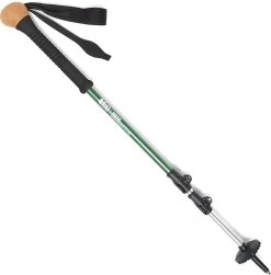 REI Hiker Shocklight Staff