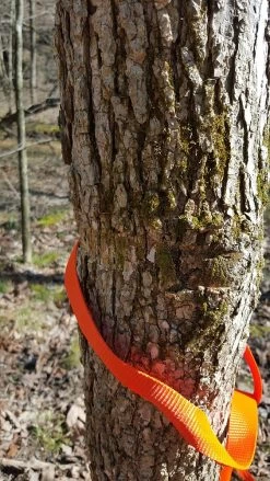 Tentsile Flite Tree Tent -Professional Outdoor Equipment Store 13