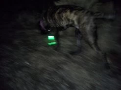 LazerBrite Multi-Lux Unit -Professional Outdoor Equipment Store 20131108 050500