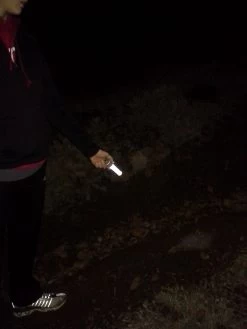 LazerBrite Multi-Lux Unit -Professional Outdoor Equipment Store 20131108 051159