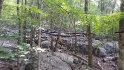 Hennessy Hammock Safari Deluxe Asym Classic -Professional Outdoor Equipment Store 20150822 105858