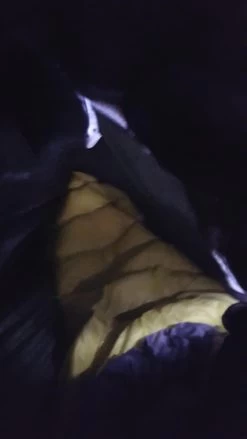 Therm-a-Rest Corus HD Quilt 21 Therm-a-Rest Corus HD Quilt -Professional Outdoor Equipment Store 20151024 215513