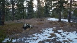 Gregory UM21 Backpack -Professional Outdoor Equipment Store 20161127 162932