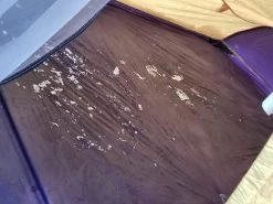 Marmot Taku -Professional Outdoor Equipment Store 20181208 163434