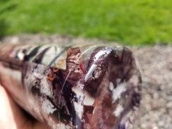 EcoVessel The Boulder Insulated -Professional Outdoor Equipment Store 20190820 161349