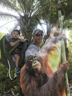 Kelty Journey PerfectFit Elite 27 Kelty Journey PerfectFit Elite -Professional Outdoor Equipment Store 6FE9AB1E 4466 45D6 9C60 4DAE3D566E72