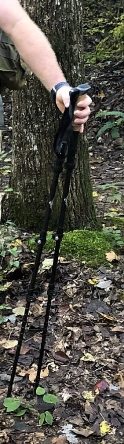 Cascade Mountain Tech Carbon Fiber Quick Lock Trekking Poles Cork Grip 18 Cascade Mountain Tech Carbon Fiber Quick Lock Trekking Poles Cork Grip -Professional Outdoor Equipment Store B3620B71 7973 43F2 83D5 2BB3A64853EF