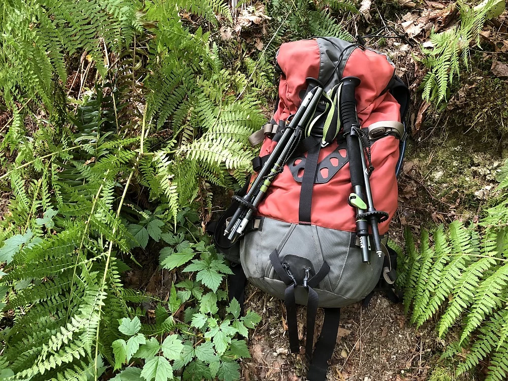 Black Diamond Distance Plus FLZ 4 Black Diamond Distance Plus FLZ - Image 4