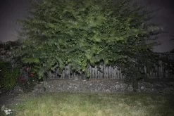 BioLite PowerLight Mini -Professional Outdoor Equipment Store BioStill07