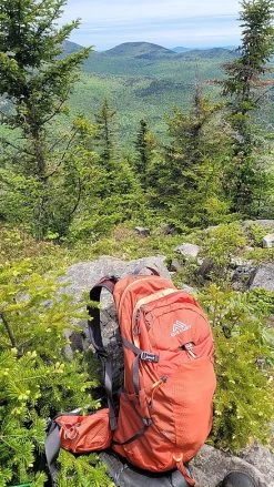 Gregory Juno 30 H2O -Professional Outdoor Equipment Store BlackCatVista