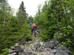 Gregory Juno 30 H2O -Professional Outdoor Equipment Store ClimbingBlackCat