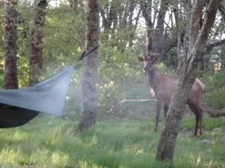 Hennessy Hammock Ultralight Backpacker Asym -Professional Outdoor Equipment Store DSC03331 1