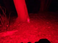 NiteCore NU25 -Professional Outdoor Equipment Store DSC04937