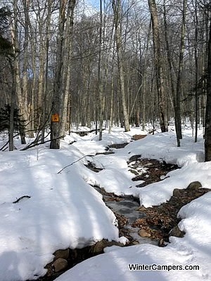 Ed's Wilderness Systems Snow Clipper 3 Ed's Wilderness Systems Snow Clipper - Image 3