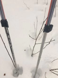 Black Diamond Syncline -Professional Outdoor Equipment Store FE260D4E C99E 4F95 8B37 F5E7BBC4C11B