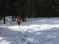 Seek Outside Divide 4500 -Professional Outdoor Equipment Store Gates