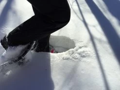 Easton Hike -Professional Outdoor Equipment Store IMG 0087