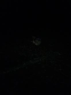 NiteRider Adventure 180 -Professional Outdoor Equipment Store IMG 1075 1