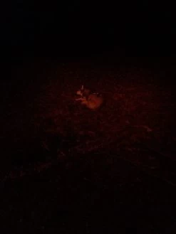 NiteRider Adventure 180 -Professional Outdoor Equipment Store IMG 1079 1