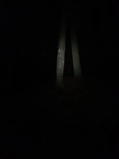 NiteRider Adventure 180 -Professional Outdoor Equipment Store IMG 1092 1