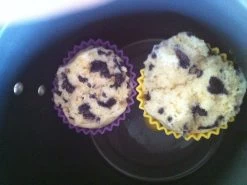 Open Country Mors Bush Pot 1.8L -Professional Outdoor Equipment Store IMG 1093