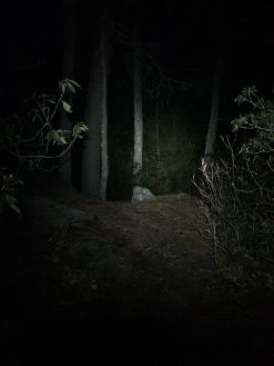 NiteRider Adventure 180 -Professional Outdoor Equipment Store IMG 1098