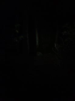 NiteRider Adventure 180 -Professional Outdoor Equipment Store IMG 1099