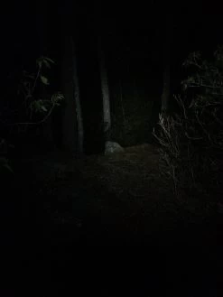 NiteRider Adventure 180 -Professional Outdoor Equipment Store IMG 1100 1