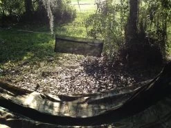 Dream Hammock ThunderBird -Professional Outdoor Equipment Store IMG 1167