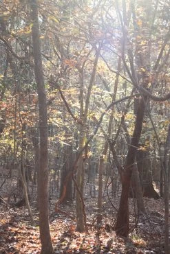 Granite Gear Vapor Current Airbeam Frame -Professional Outdoor Equipment Store IMG 1763