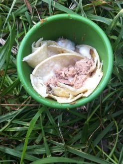 Silipint Half Pint -Professional Outdoor Equipment Store IMG 2020