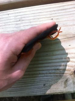 GSI Outdoors Ultralight Java Drip 18 GSI Outdoors Ultralight Java Drip -Professional Outdoor Equipment Store IMG 3119