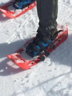 MSR Denali -Professional Outdoor Equipment Store IMG 3726