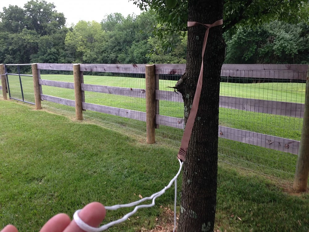 Hummingbird Hammocks Tree Straps 4 Hummingbird Hammocks Tree Straps - Image 4