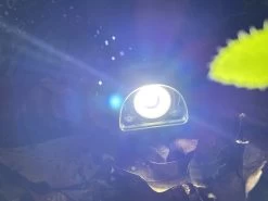 Coast FL1R 8 Coast FL1R -Professional Outdoor Equipment Store IMG 5446 copy