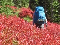 Osprey Aether Plus 85 9 Osprey Aether Plus 85 -Professional Outdoor Equipment Store IMG 5785 BB