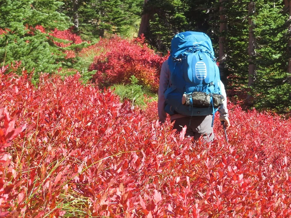 Osprey Aether Plus 85 4 Osprey Aether Plus 85 - Image 4