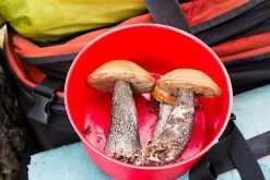 Primus PrimeTech Pot -Professional Outdoor Equipment Store IMG 8316