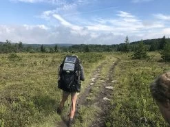 Gregory Baltoro 75 GZ -Professional Outdoor Equipment Store IMG 9802