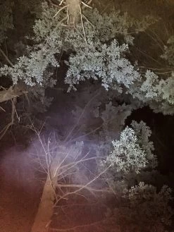 Ledlenser MT10 -Professional Outdoor Equipment Store LEDlenser 6 of 6