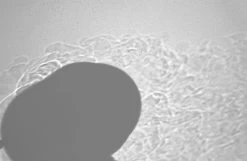 Soto WindMaster -Professional Outdoor Equipment Store SotoSch08