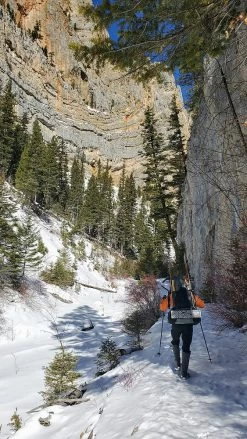 Seek Outside Divide 4500 -Professional Outdoor Equipment Store canyon