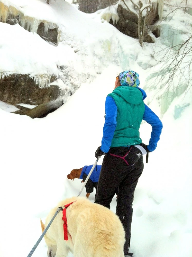 Salomon Active Insulated Belt 5 Salomon Active Insulated Belt - Image 5