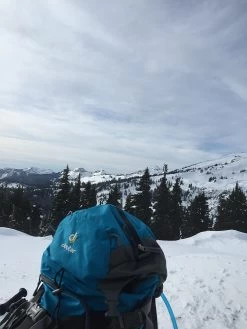 Deuter Guide Tour 35+ SL -Professional Outdoor Equipment Store image 3650