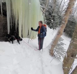 Tubbs 3-Part Snowshoe Poles -Professional Outdoor Equipment Store laraway 25