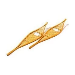 Wilcox And Williams Ojibwa