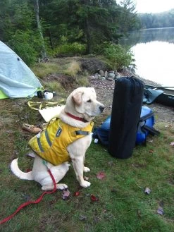 ALPS Mountaineering Lightweight Series Self Inflating Air Pads -Professional Outdoor Equipment Store site 4 mat 1